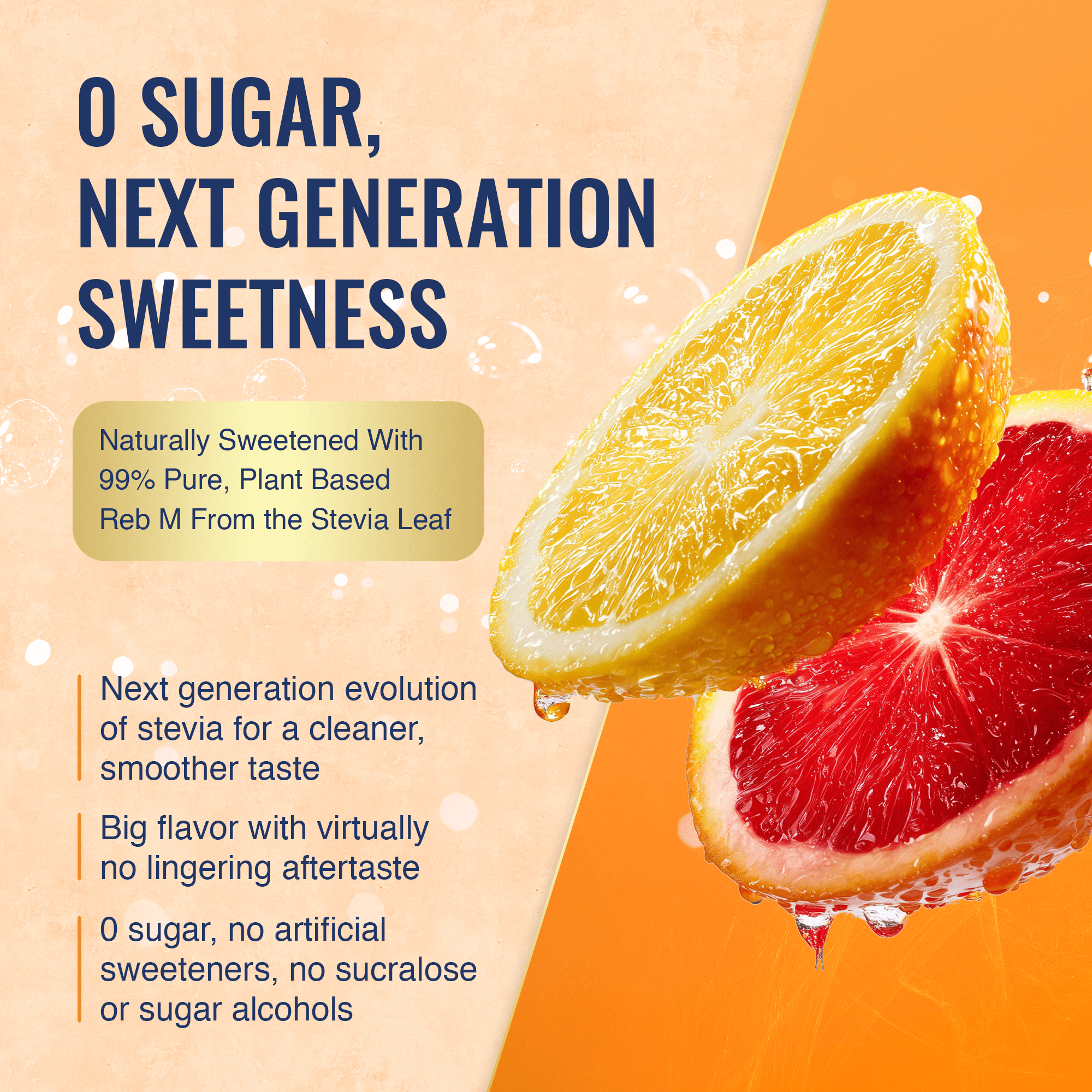 BLOOD ORANGE YUZU (12-Pack)